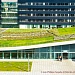 Ремонт эксплуатируемой кровли