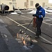 Ремонт эксплуатируемой кровли